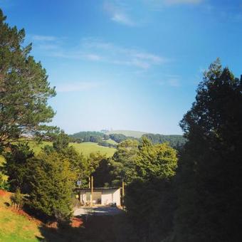 Wild Forest Estate Tin Box