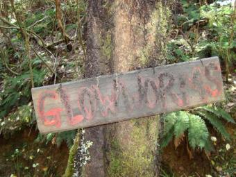 Lake Brunner Country Motel & Holiday Park