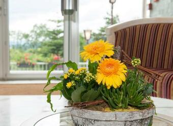 Alexain Hotel Restaurant & Wellness - Colmar Ouest