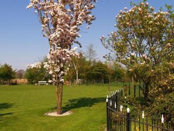 Modern Holiday Home In Oeffelt With Sauna