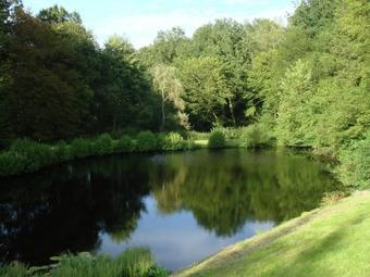 Cozy Holiday Home In Dun-les-places With Private Pool