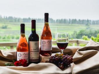 Tranquil Holiday Home In Lavercantiere Near Forest