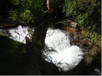 Hotel Pi�o Mineiro