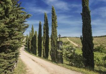 Agroturismo Relais Santa Cristina