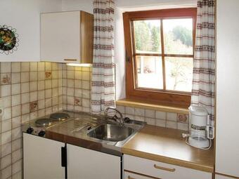 Apartamento Ferienwohnung Wildsch�nau 696s