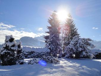 Apartamento Landhaus Feller