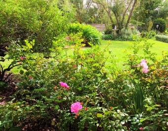 Bindley House B&B Cottage