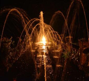 Tropical Bliss Bed And Breakfast