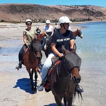 Bed & Breakfast Bungala House 1856