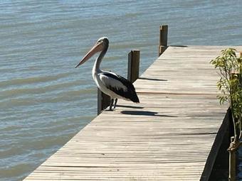 Hostal Washpool Retreat