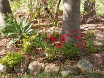 Bed & Breakfast Wondai Hideaway Apartment