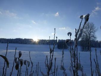 Hotel Le Paysan Horloger
