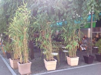 Hotel H�tel De La Gare