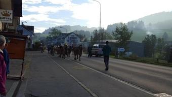 Bed & Breakfast G�stehaus Krone