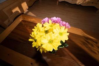 Apartamento Crusch Alba Studio Sta Maria