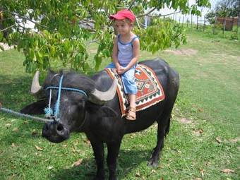 Hostal Pousada Ventania Do Rio-mar