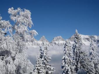 Apartamentos Ferienhaus Ahorn