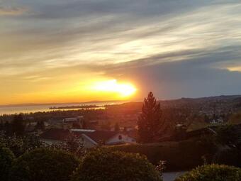 Apartamento Ferienwohnung "am Halbenstein"