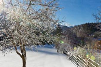 Hostal Pension Klug Adults Only - Dorfresort Mitterbach