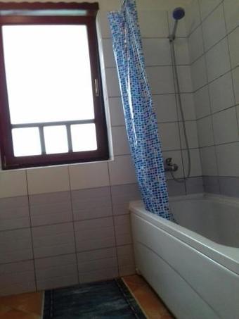 Linden Tree Apartment