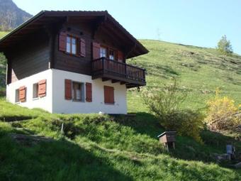 Cozy Chalet In Chrixacher Near Forest