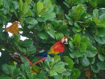 Hotel Y Restaurante El Teca