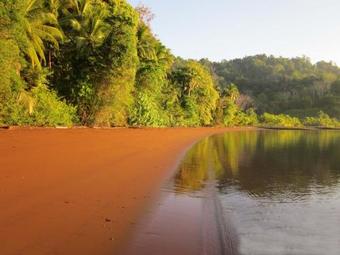 Villa Jungle Retreat