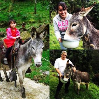 Albergue Retiro El Santuario