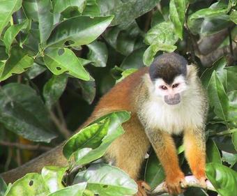 Riviera Riverside Villas