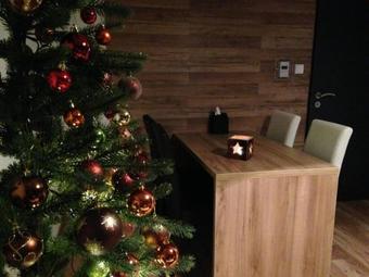 Apartment Doln� Moravice Jesen�ky