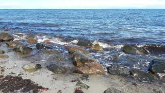 Apartamento Ostsee Cottage