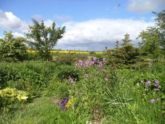 Apartamento Rosenhaus-bocksruede