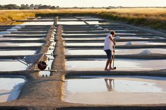 Semi-detached House Damgan - Bre04352-l