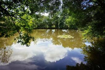 Bed & Breakfast Manoir Du Bois De Grez