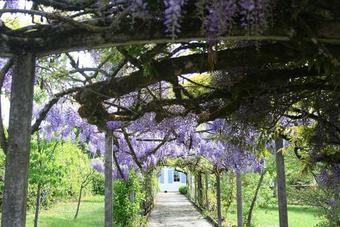 Mirandol-bourgnounac Villa Sleeps 14 Pool Wifi