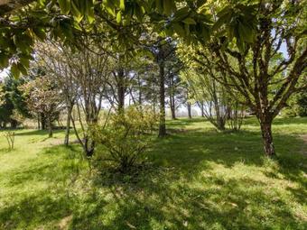 La Cipi�re - Le Hibou