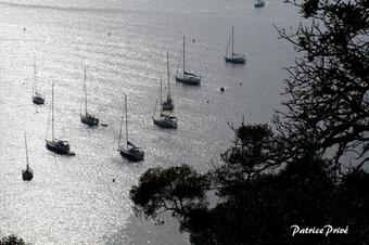 Bed & Breakfast La Maison Du Port