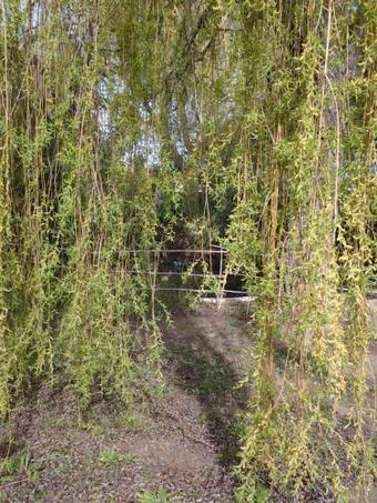 Bed & Breakfast Chambre D'h�tes Du Mas Julianas