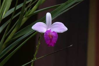 Hostal Pousada Recanto