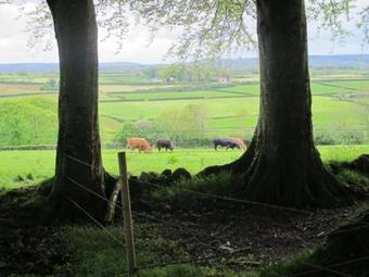 Agroturismo Dromore House Historic Country House