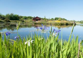 Apartamento The Dairy