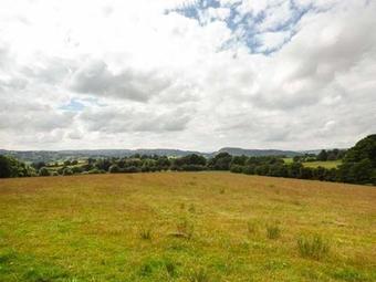 The Granary, Welshpool