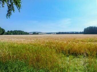 Woodcutter's Cottage