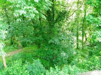 The Smithy, Carmarthen