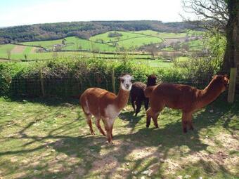 The Barn, Southleigh, Colyton