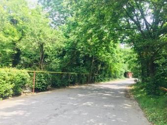 Hostal Guest House Shorena