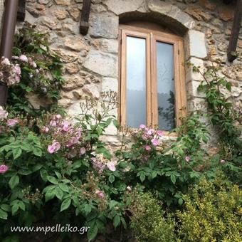 Hostal Mpelleiko