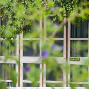 Hostal Pousada Rabo Do Lagarto