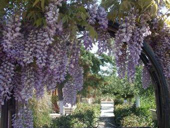 Apartamento Studio Candia