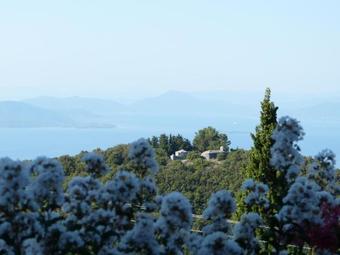 Bed & Breakfast Ta Xelidonakia